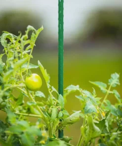 Vigoro 4 ft. Green Colored Steel Core Garden Stake -Vigoro sales Store vigoro tomato cages st4vg 76 1000