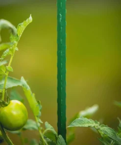 Vigoro 5 ft. Green Colored Steel Core Garden Stake -Vigoro sales Store vigoro tomato cages st5vg 66 1000