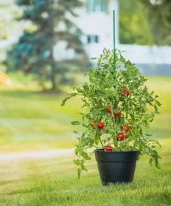 Vigoro 5 ft. Green Colored Steel Core Garden Stake -Vigoro sales Store vigoro tomato cages st5vg c3 1000