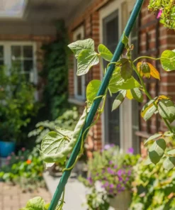 Vigoro 6 ft. Green Colored Heavy Duty Steel Core Garden Stakes -Vigoro sales Store vigoro tomato cages st6hdvg 4f 1000