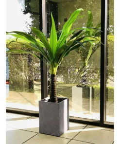 KANTE 19 in. H Square Weathered Concrete/Fiberglass Indoor Outdoor Modern Seamless Planter -Vigoro sales Store weathered concrete kante plant pots osf0007c c80021 2 44 1000