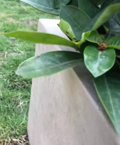 KANTE 31 in. L Rectangular Weathered Concrete/Fiberglass Indoor Outdoor Elegant Planter -Vigoro sales Store weathered concrete kante plant pots osf0104b c80021 2 1d 1000