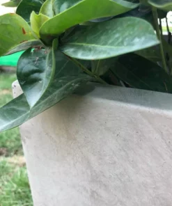 KANTE 31 in. L Rectangular Weathered Concrete/Fiberglass Indoor Outdoor Elegant Planter -Vigoro sales Store weathered concrete kante plant pots osf0104b c80021 2 1f 1000