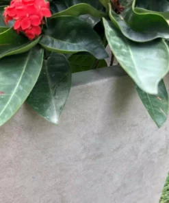 KANTE 31 in. L Rectangular Weathered Concrete/Fiberglass Indoor Outdoor Elegant Planter -Vigoro sales Store weathered concrete kante plant pots osf0104b c80021 2 44 1000