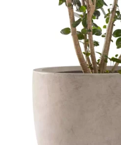 KANTE 20", 16.5" & 13.3"W Round Weathered Finish Concrete Planters Set of 3, Outdoor Indoor w/Drainage Hole & Rubber Plug -Vigoro sales Store weathered concrete kante plant pots rc0152bcd c80021 2 1f 1000