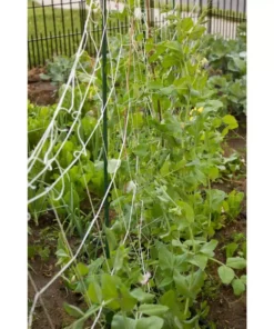 Vigoro 5 ft. x 8 ft. Sturdy Garden Trellis -Vigoro sales Store white vigoro tomato cages t008avg 44 1000