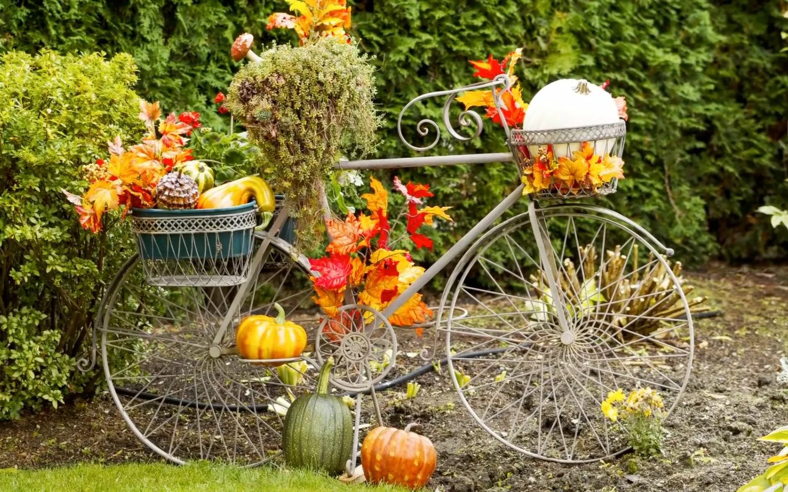 Vigoro sales Store -Vigoro sales Store 41fa1ac798fe959f078d47ae669703e6dc634df1